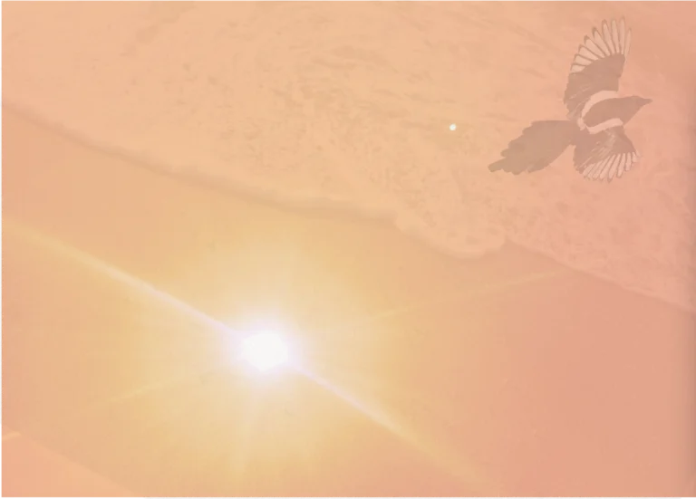 L-Autre Lumière de Soi