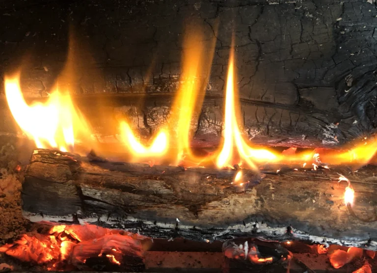 Ce que permet le feu de bois pour soi…