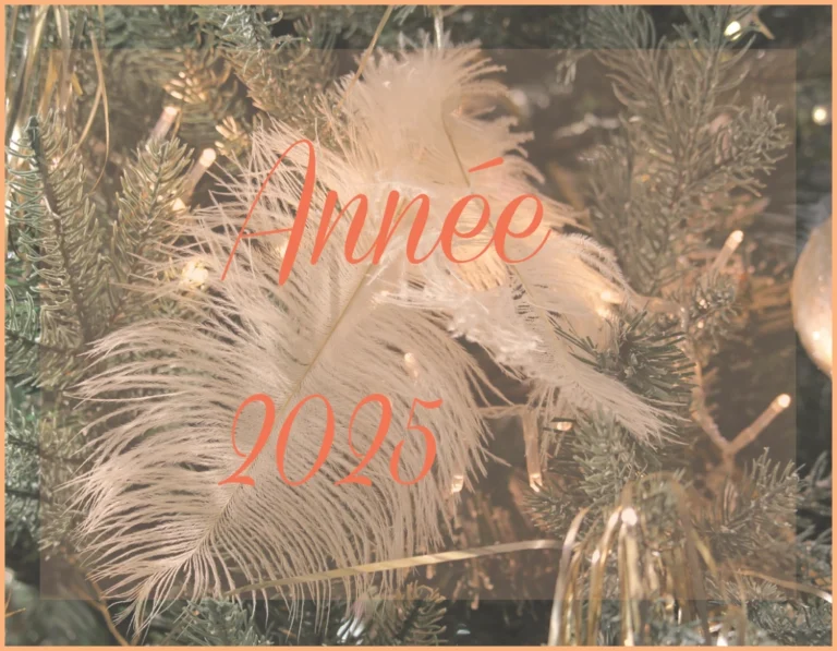 Le mot Année en langage des Oiseaux