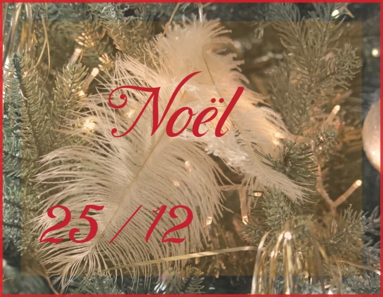 Le mot Noël en langage des Oiseaux