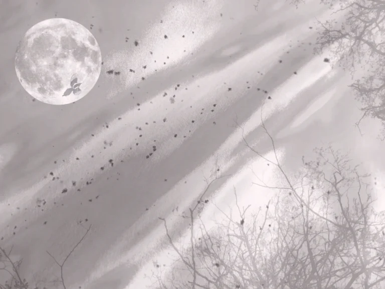 Incarnation en langage des Oiseaux