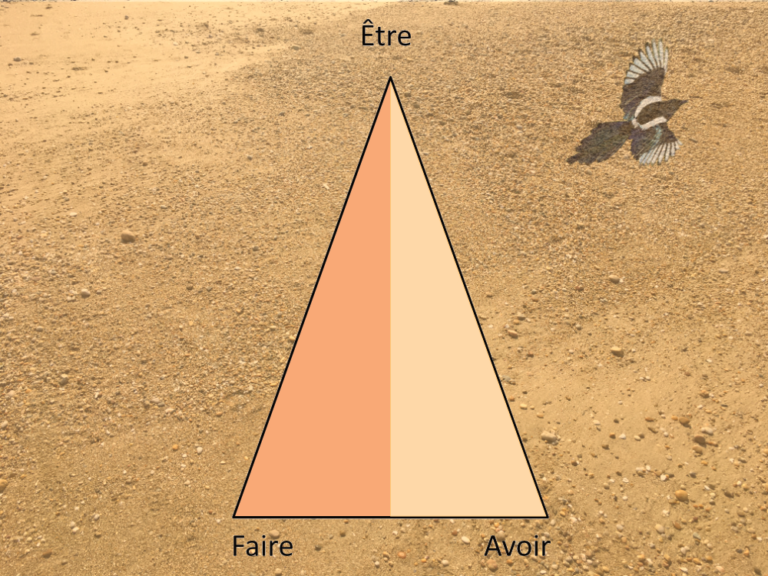 Le triangle de Vie : Être - Faire - Avoir