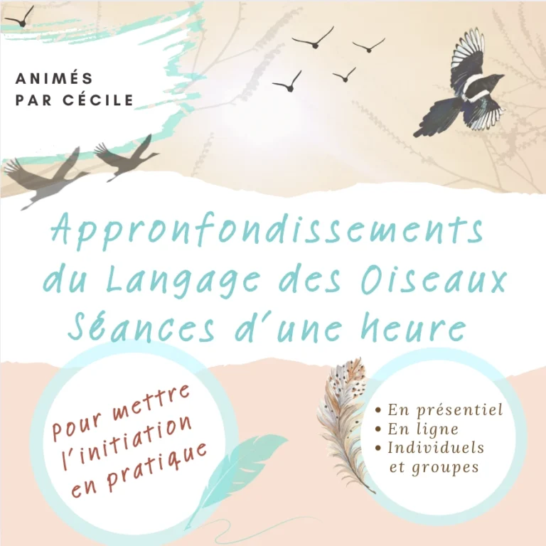 Ateliers une heure