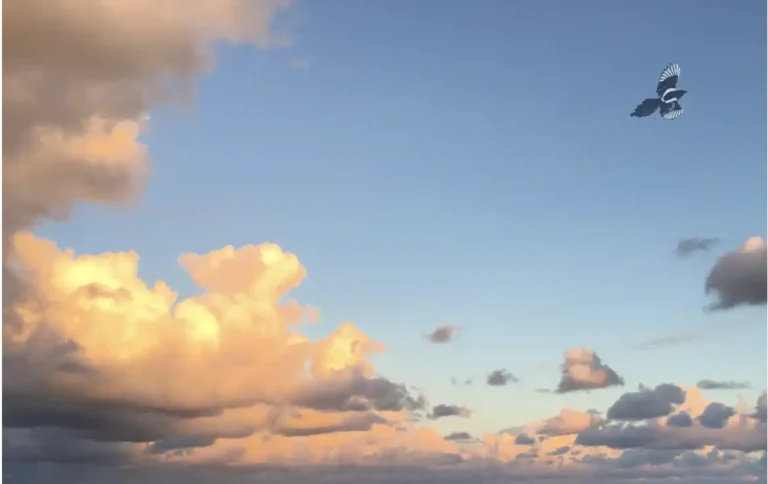 Aide-toi et le Ciel t'aidera