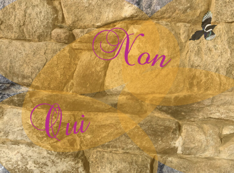 Le « Oui » et le « Non » en langage des Oiseaux