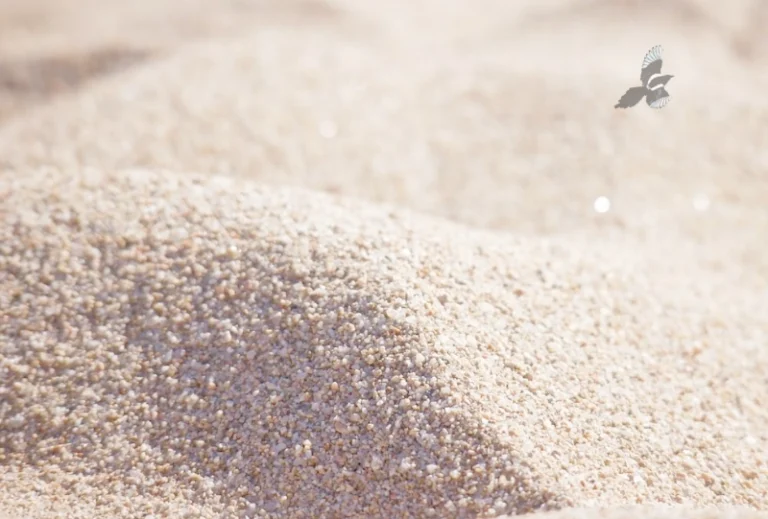 Nous bâtissons tout sur du sable…