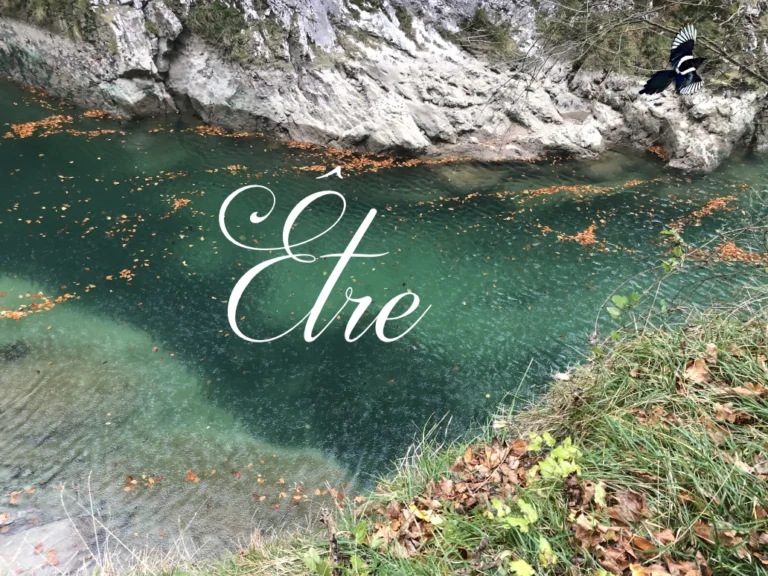 Etre en langage des Oiseaux