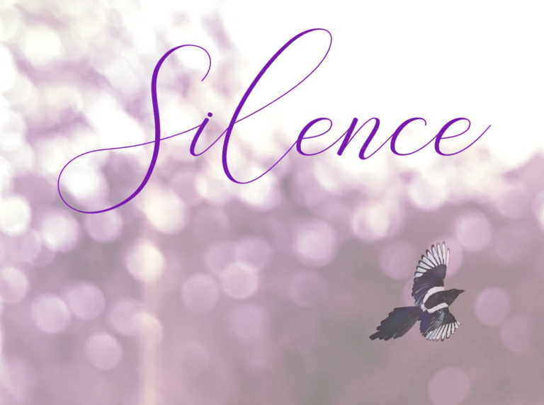 Silence en langage des Oiseaux